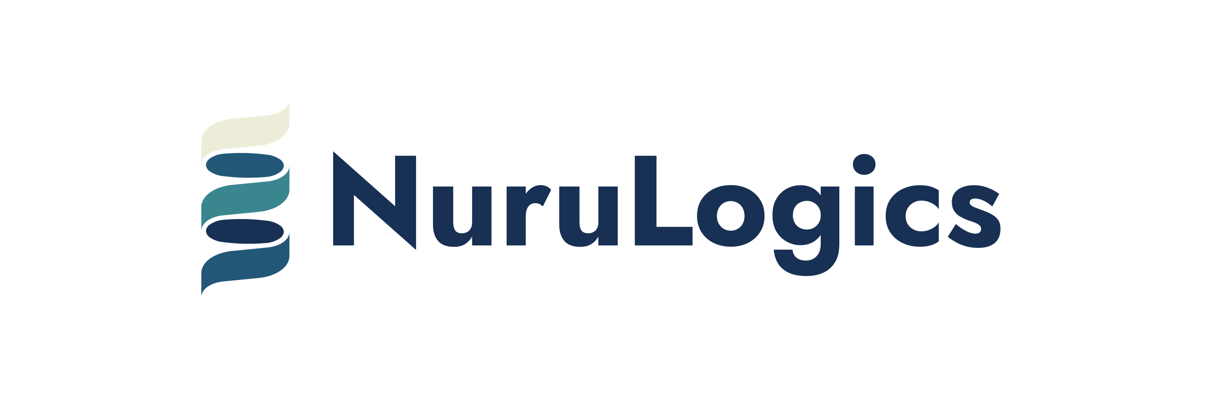 NuruLogics Logo